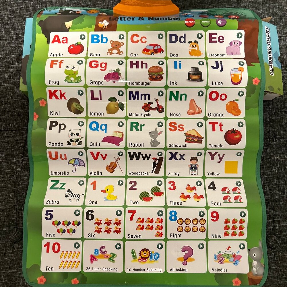 Hanging Electronic Learning Chart in Box